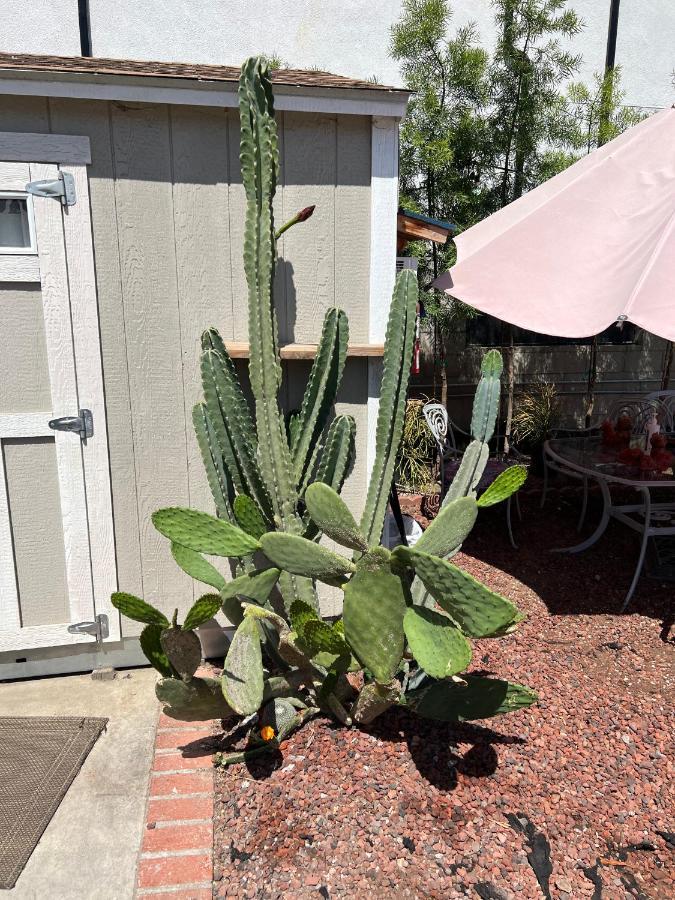 Private Los Angeles Room - Free Wifi, Ac, Tv, Private Fridge, Kitchen, Near Usc - Exposition Park - Usc Memorial Coliseum - Banc Of California Bmo Stadium - Downtown Los Angeles Dtla - University Of Southern California Usc!! Exterior foto